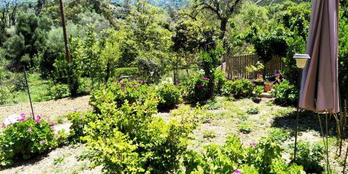 Apartamento Guesthouse Dramoundana