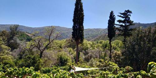 Apartamento Guesthouse Dramoundana