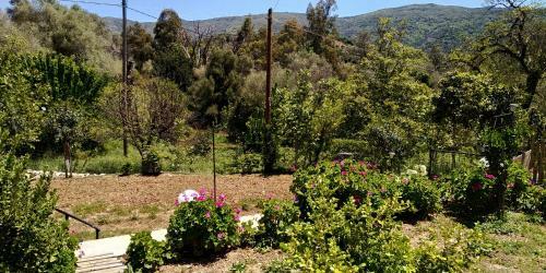 Apartamento Guesthouse Dramoundana