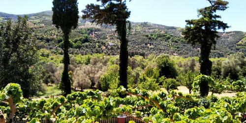 Apartamento Guesthouse Dramoundana