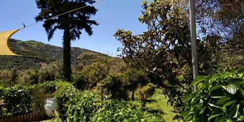 Apartamento Guesthouse Dramoundana