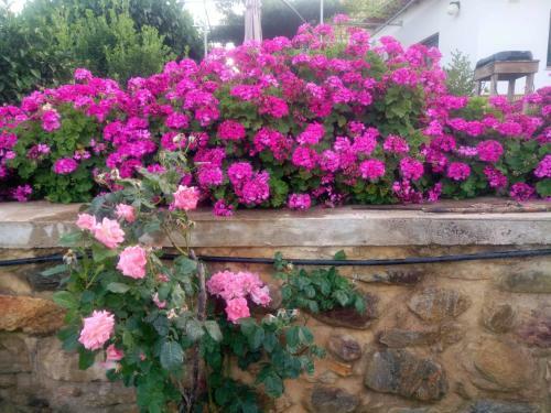 Apartamento Guesthouse Dramoundana