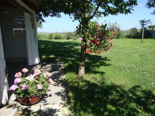 Ferienhaus Somloi Sell�