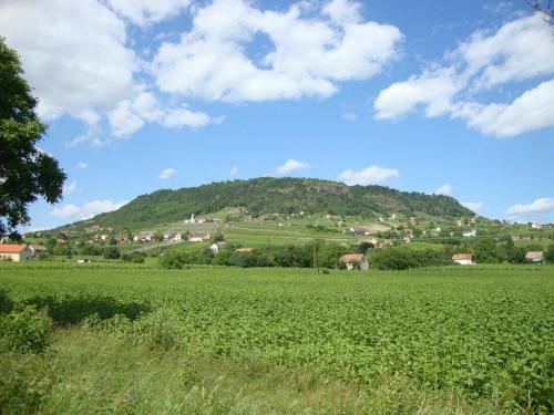 Ferienhaus Somloi Sell�