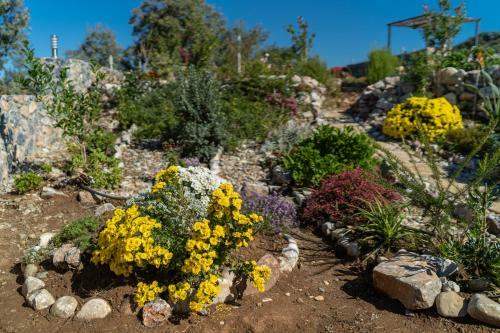 Stunning 4-bedroom Villa With Private Pool.
