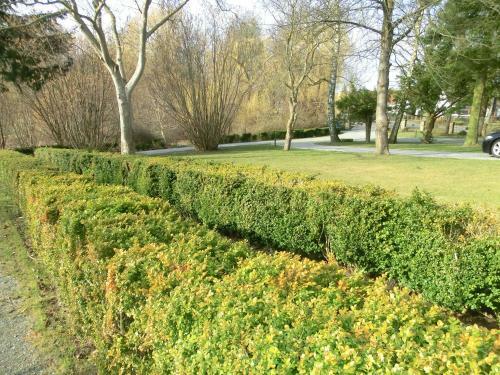 Apartamento Kleeblatthaus Putbus R�gen