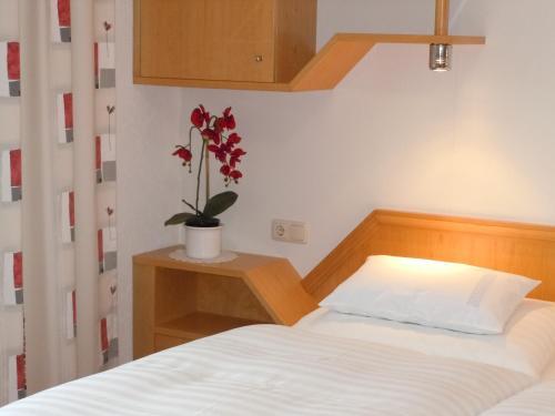 Apartamento Appartements G�stehaus Monika