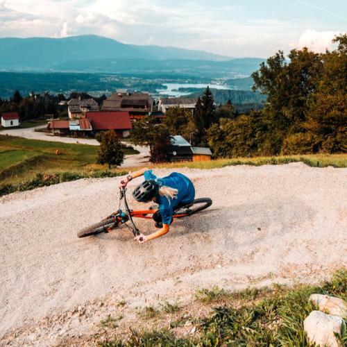 Hotel Baumgartnerhof