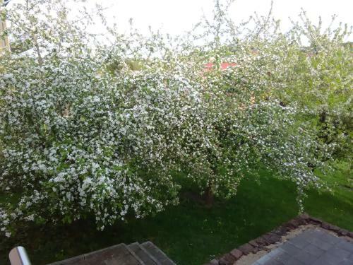 Apartamento Ferienwohnung Barzen