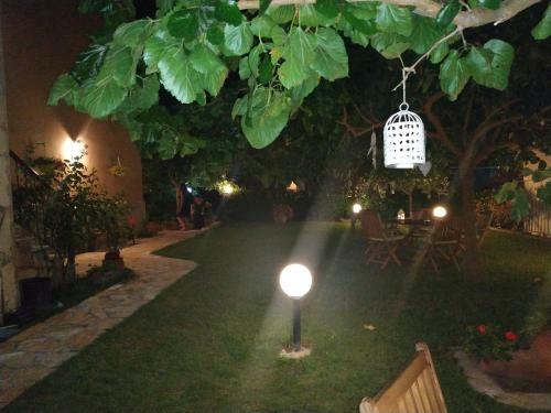 Apartamento Fani House