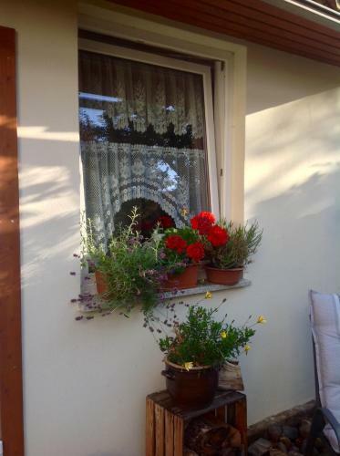 Apartamento Am Mathildenbrunnen Klein