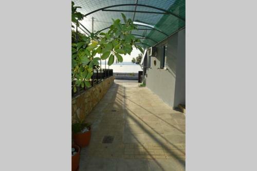 Melenia's Sea Front House