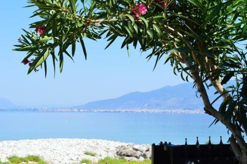 Melenia's Sea Front House