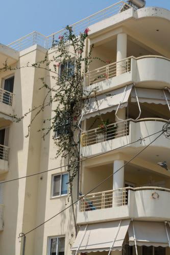 Apartamento Nora's Home Kalamata