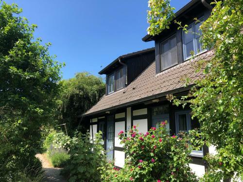 Apartamento Am Achterwasser Dorf 12