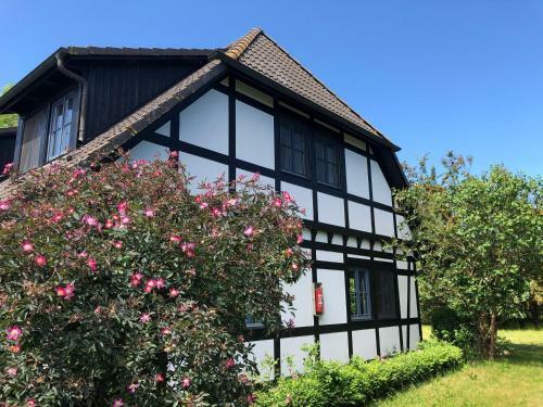 Apartamento Am Achterwasser Dorf 12