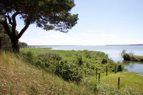 Ferienhaus-achterwasser-usedom