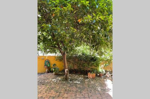Apartamento Studio Stay White Room