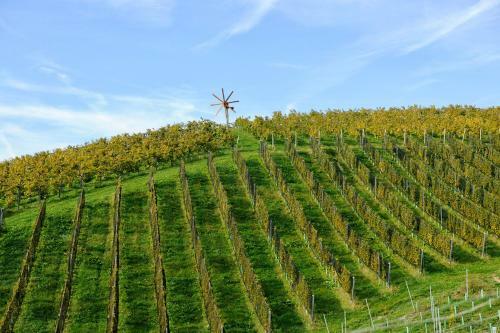 Hostal Weingut Und G�stezimmer Zirngast