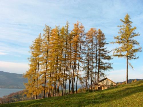 Agroturismo Pension Angermann