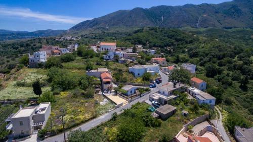 Casa Vasilia Traditional Home
