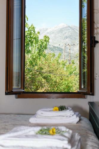 Casa Vasilia Traditional Home
