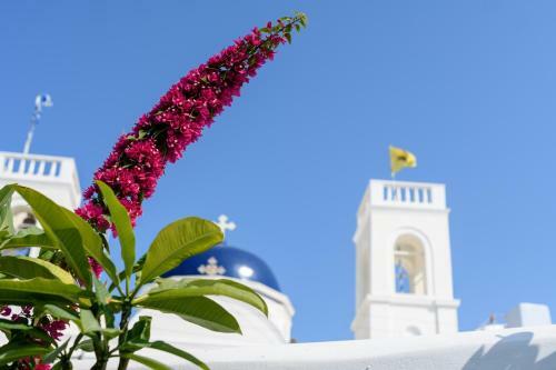 Betty's Home Santorini