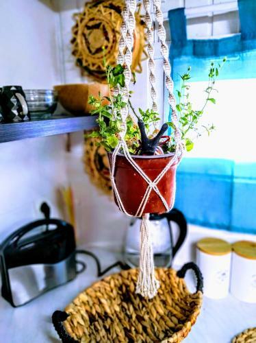 Apartamento Olive House Karpathos (1)