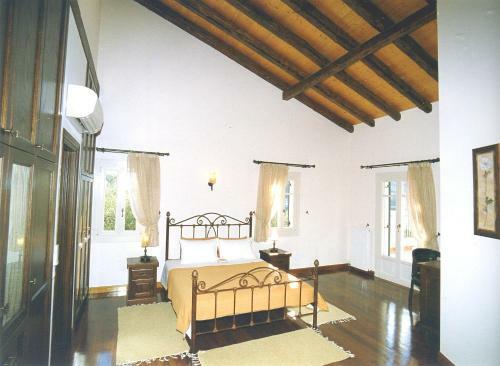 Villa Kamelia