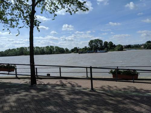 Apartamento Hohe Rheinstra�e Neun - Ferienhaus