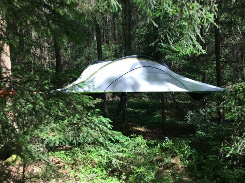 Bed & Breakfast Baumzelt Im Wald
