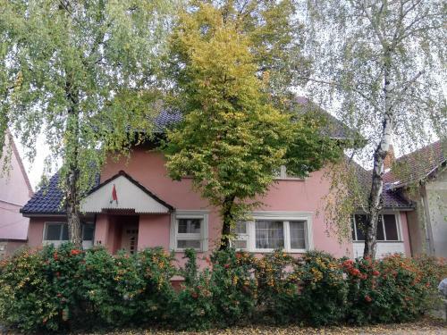 Hostal Balogh Vendegh�z