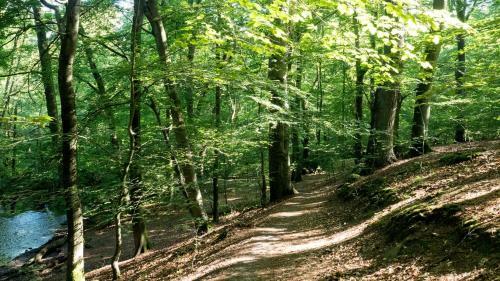 Itm Hotel Bettk�stchen Am Sachsenwald
