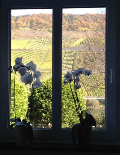 Apartamento Haus Nummer 1, Moselblick