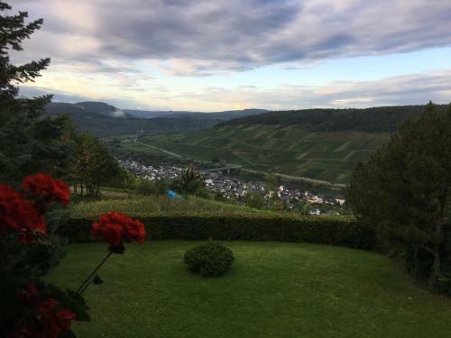 Apartamento Ferienwohnung Moselblick