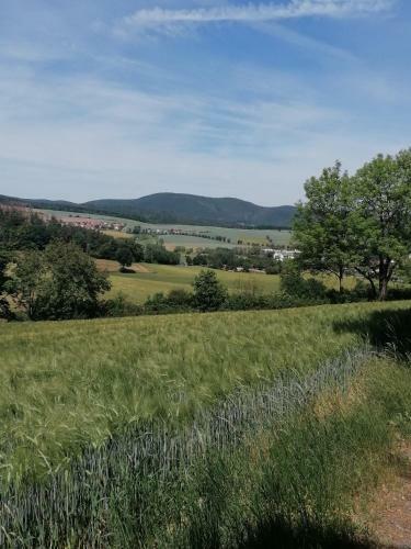 Apartamento Atlanta II Reinhardshausen