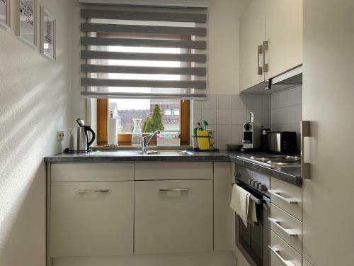 Double Apartment I 2 King Beds I Kitchen I Parking