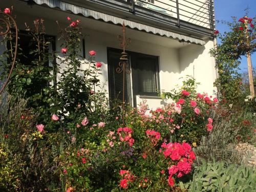 Apartment G�stehaus Maria