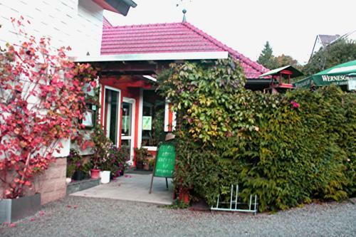Hostal Cafe & Pension Carmen