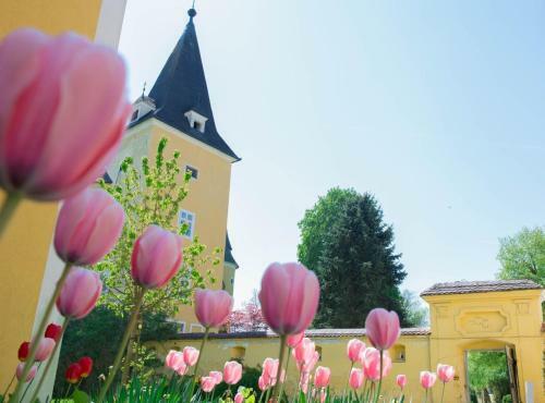 Hotel Schloss M�hldorf