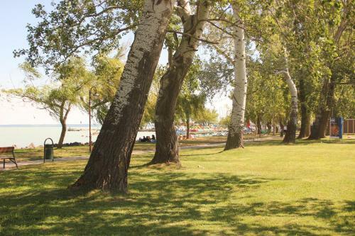 Bodza Apartman Si�fok