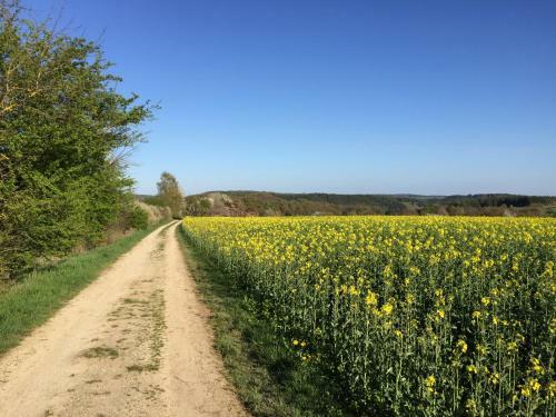 Apartamento Ferienwohnung Pagel