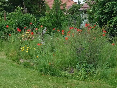 Apartamento Ferienhof-rietschen-neuliebel