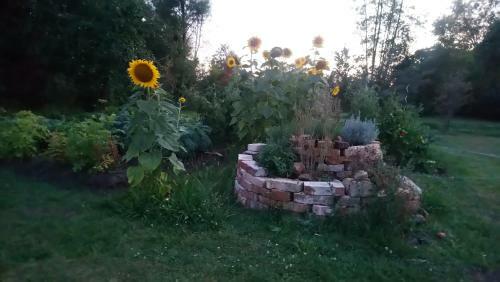 Apartamento Ferienhof-rietschen-neuliebel