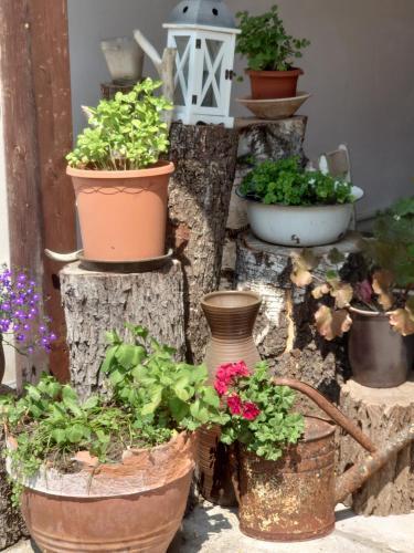 Apartamento Ferienhof-rietschen-neuliebel