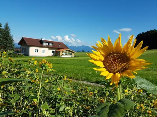 Agroturismo G�stehaus Annemarie