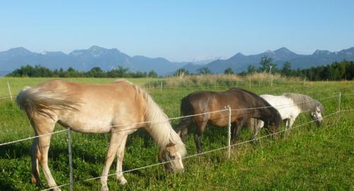 Agroturismo G�stehaus Annemarie