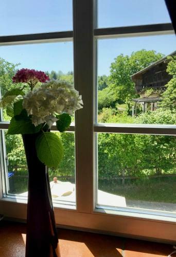 Apartamento Haus Dreiseenblick