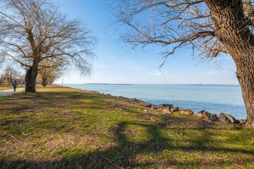 Mf Flower Beach Apartment - Cirk�l� 411