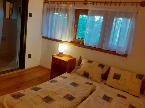 Hostal Vad�sz Vend�gh�z